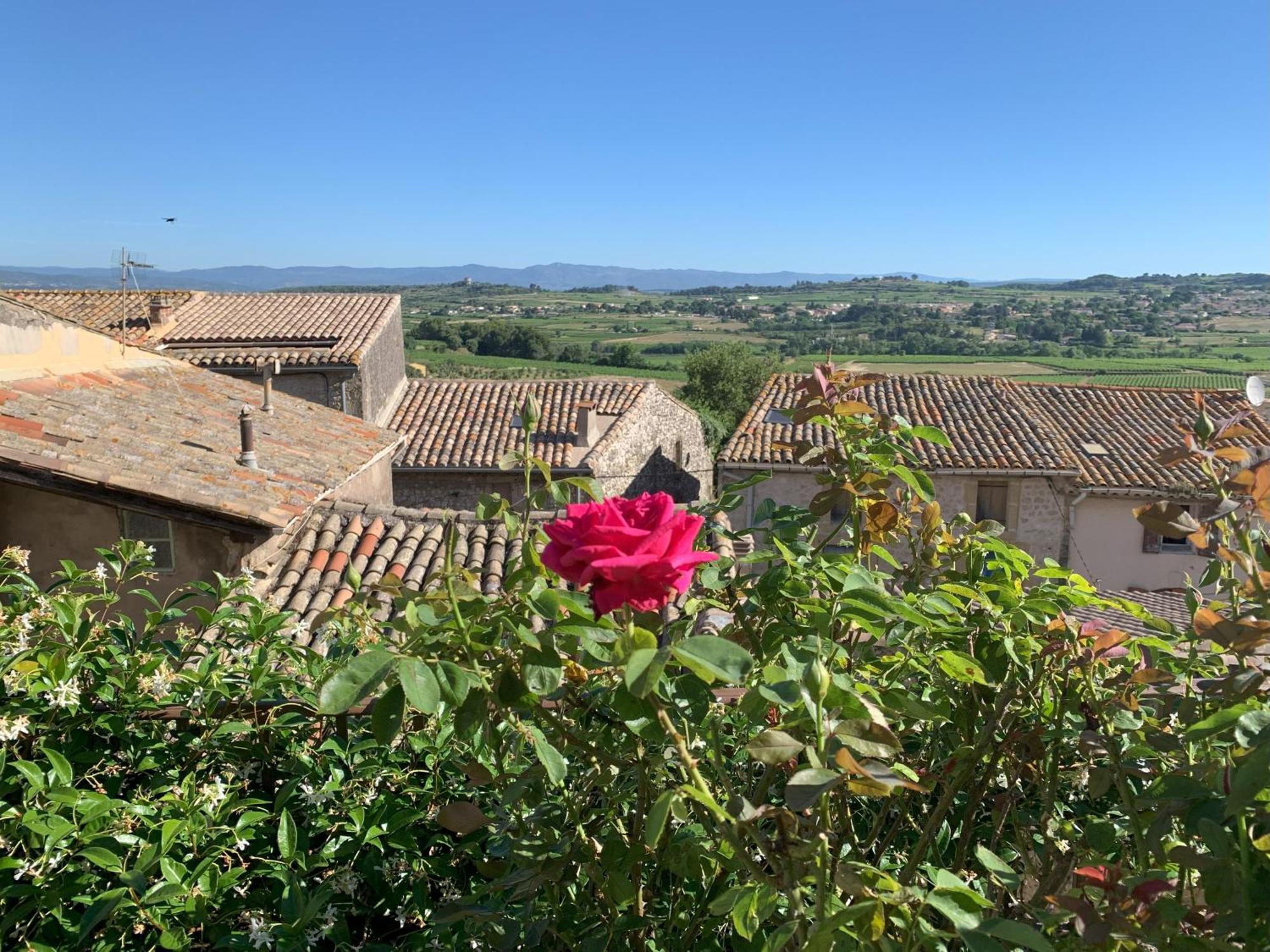 La Rose Du Vent Acomodação com café da manhã Saint-Pons-de-Mauchiens Exterior foto